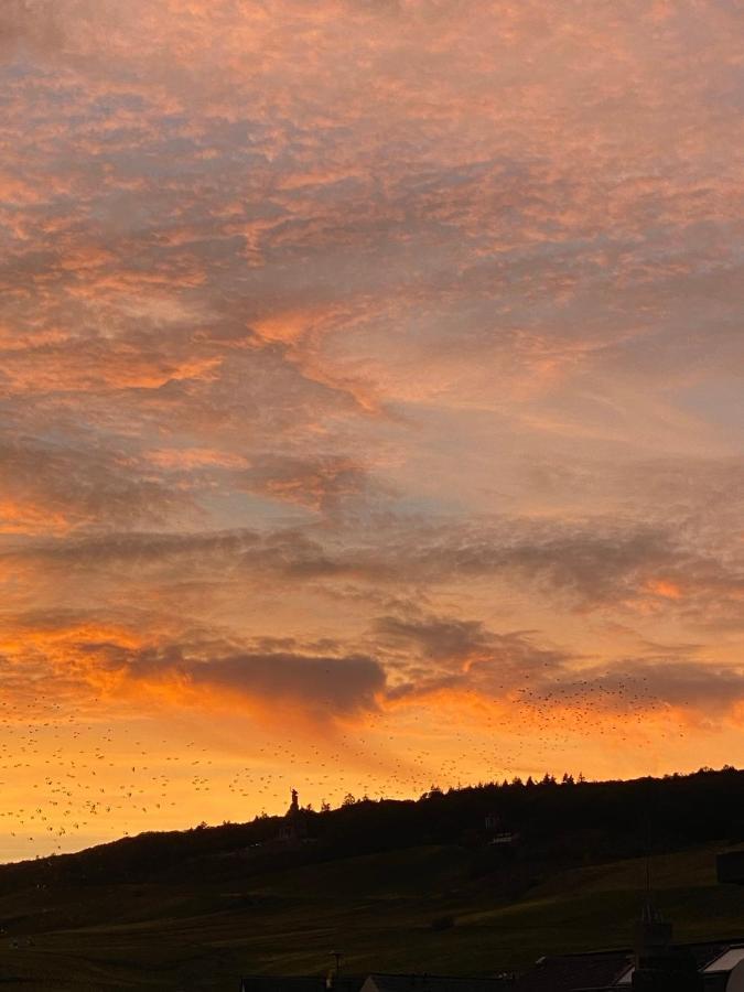 Apartmán Schlafen Ueber Der Whiskybar Rüdesheim am Rhein Exteriér fotografie